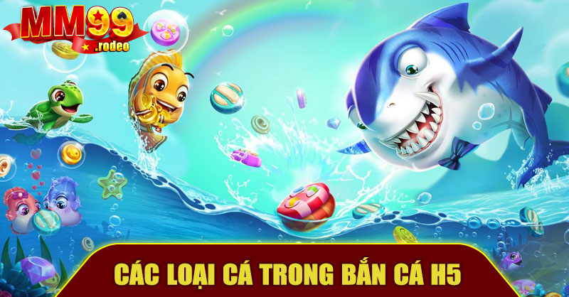 Các Loại Cá Trong Bắn Cá H5 MM99